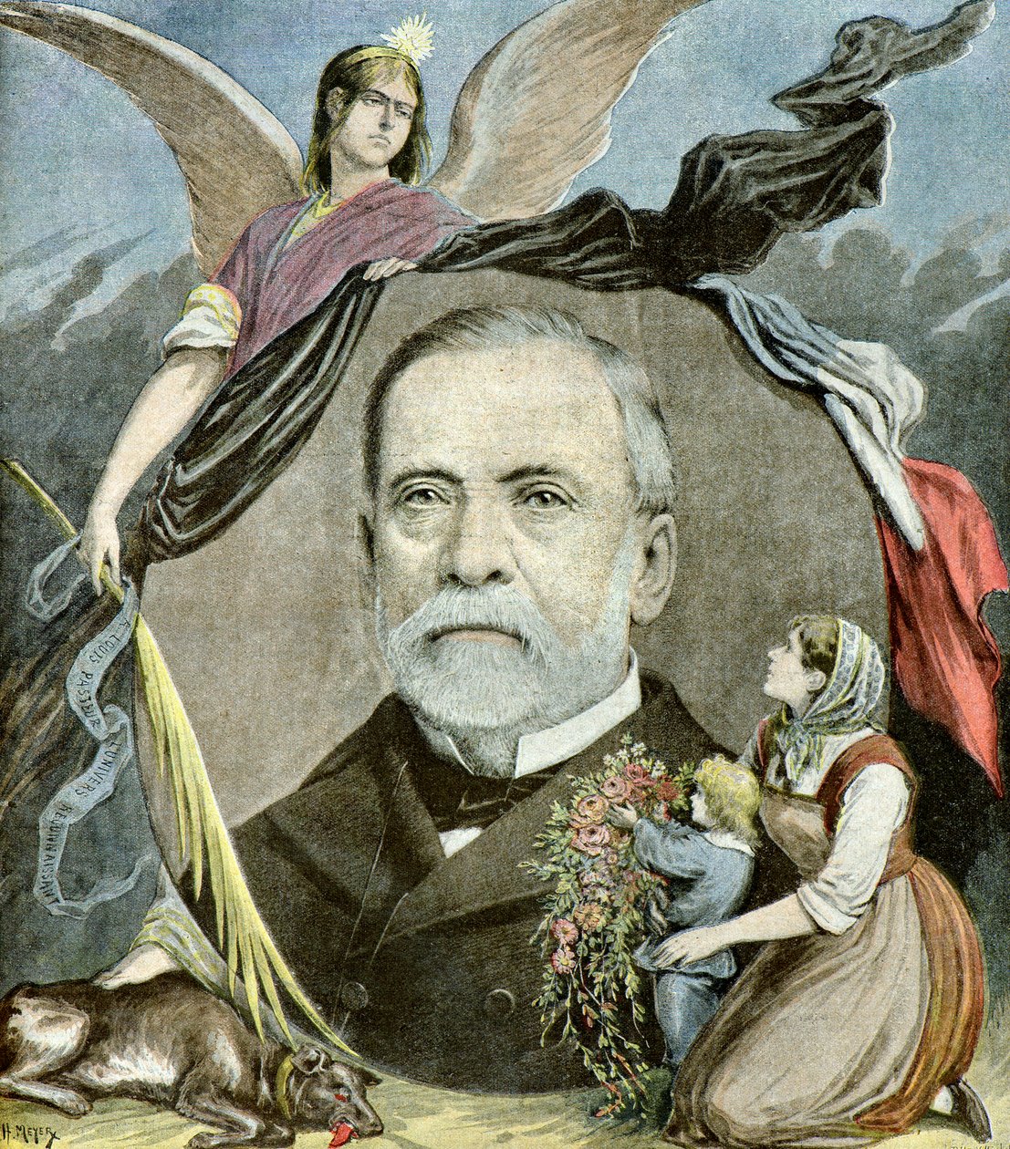 Retrato de Louis Pasteur, 1895 (Ilustração) de Henri Meyer