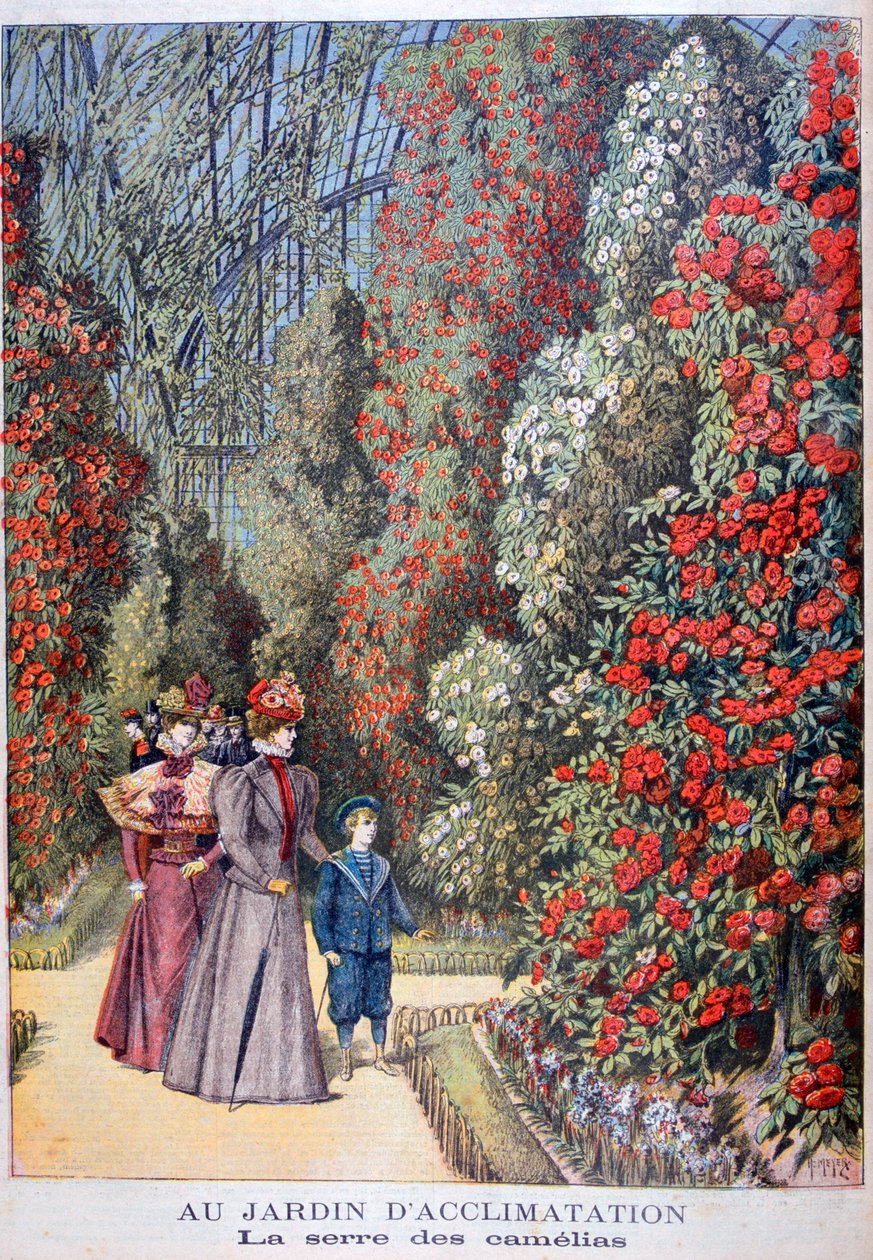 A estufa das camélias, jardins zoológicos, Paris, 1897 de Henri Meyer