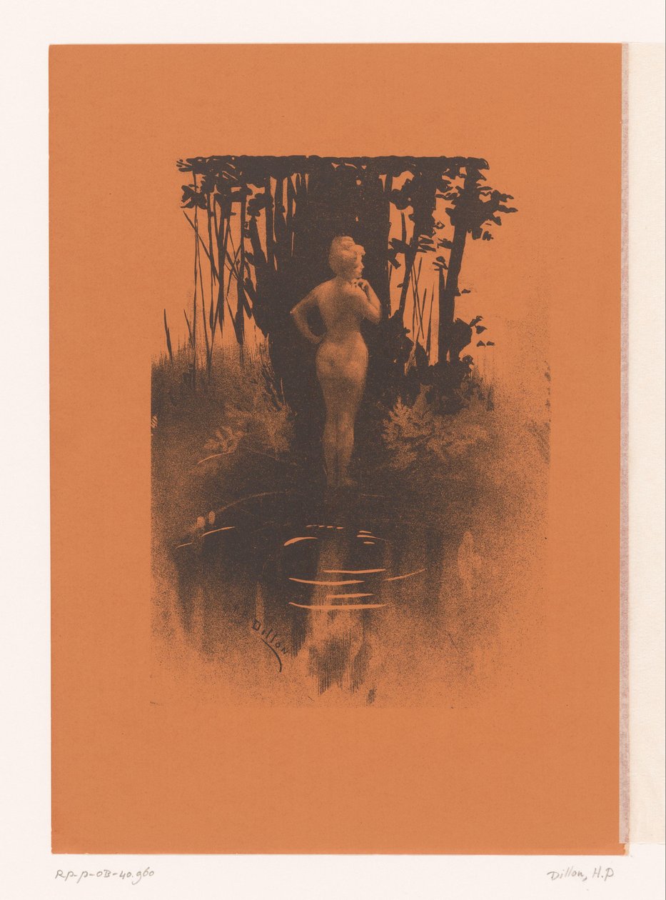 Mulher de banho na natureza de Henri Patrice Dillon