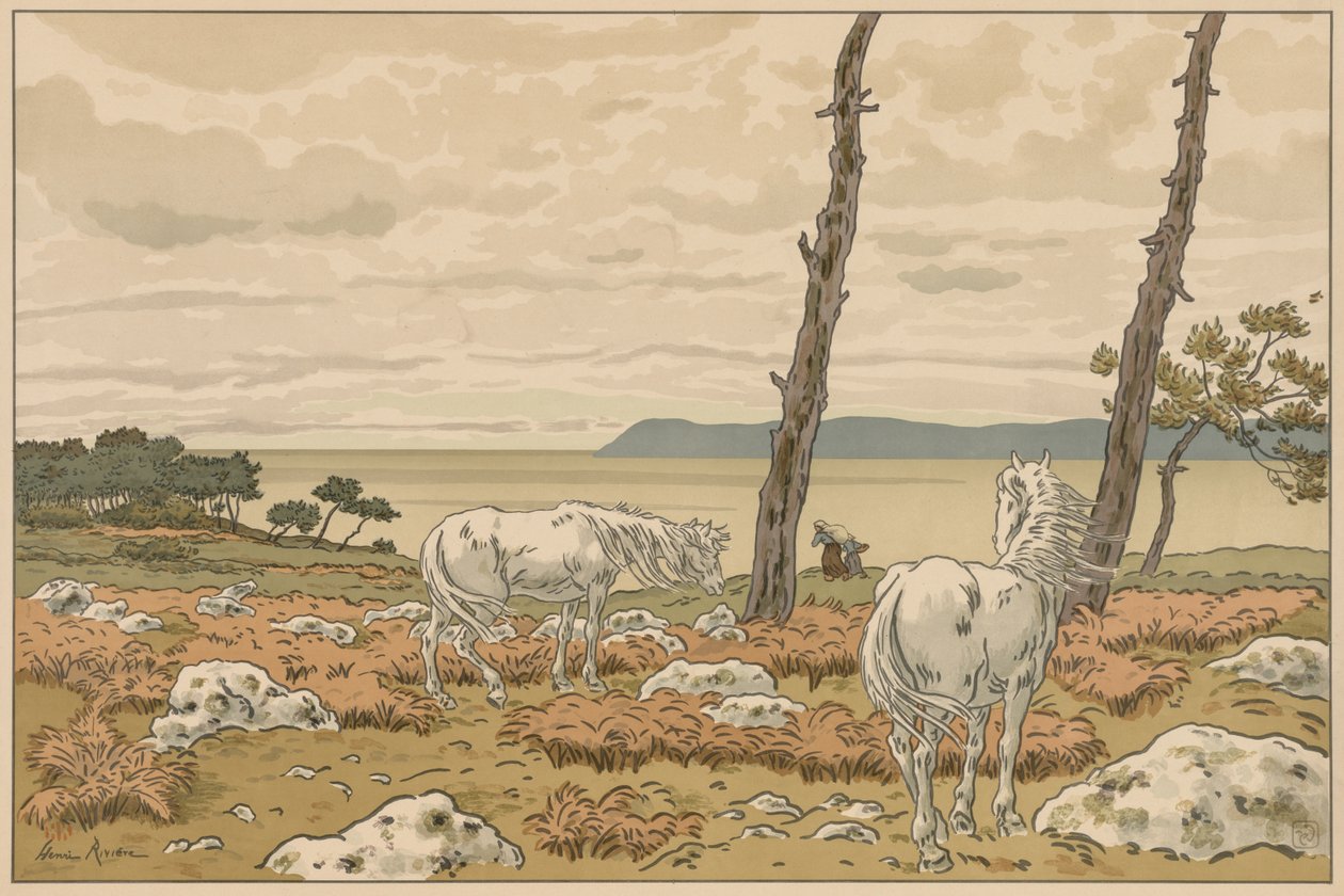Aspectos da Natureza: A Baía de Henri Rivière