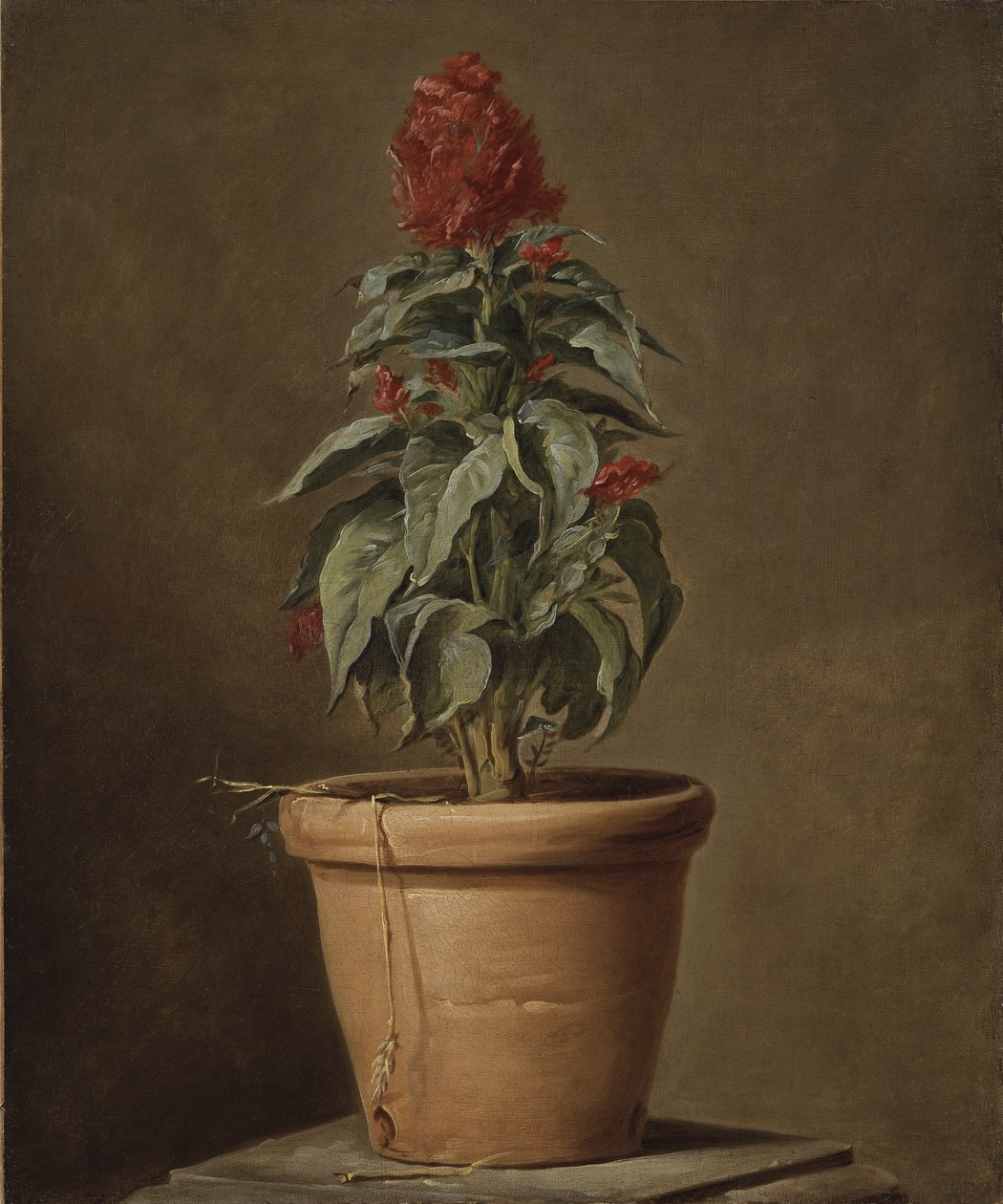 Uma planta em vaso de Henri Roland de la Porte