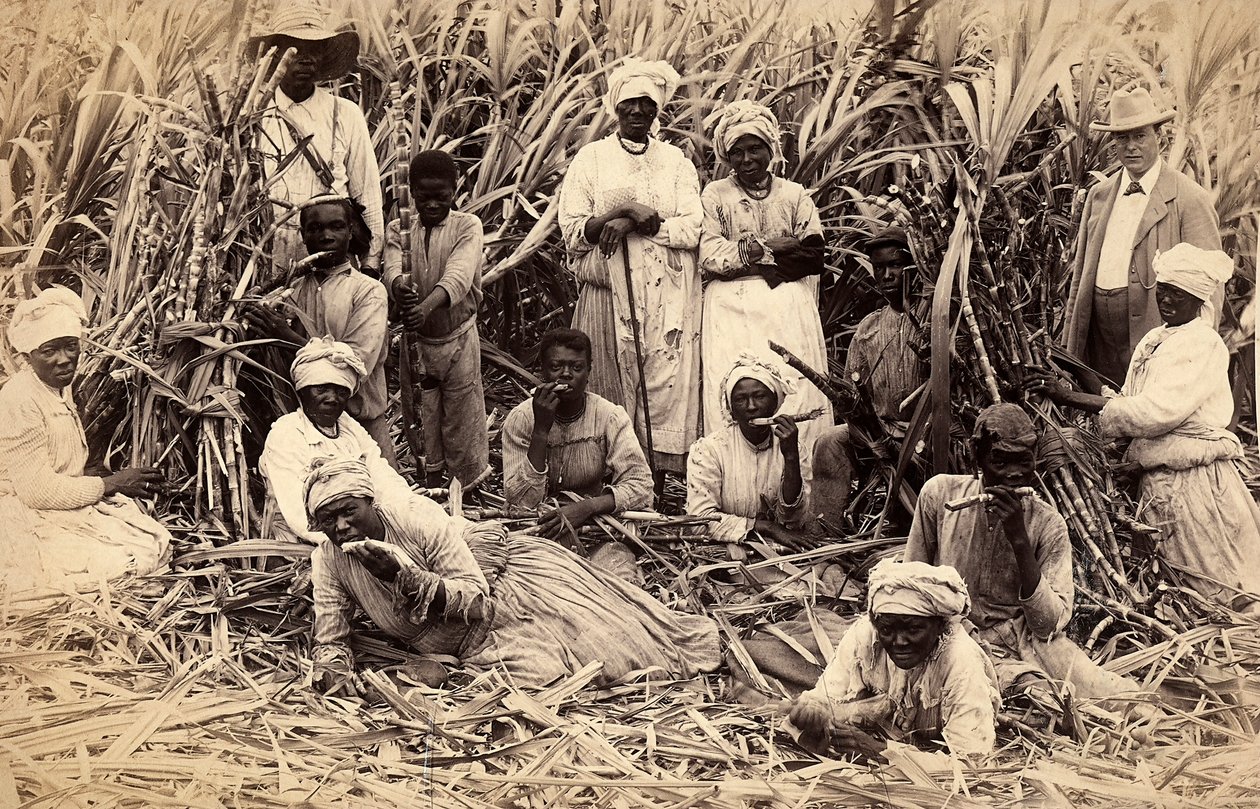 Cortadores de cana de açúcar, Jamaica de Henri S. Duperly