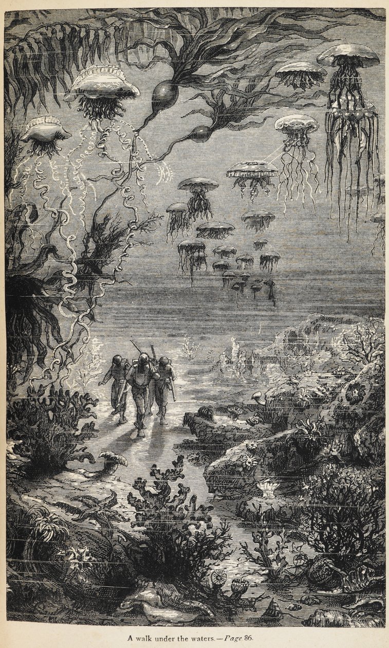Ilustração para "20 000 Léguas Submarinas" escrita por Júlio Verne de Henri Theophile Hildibrand