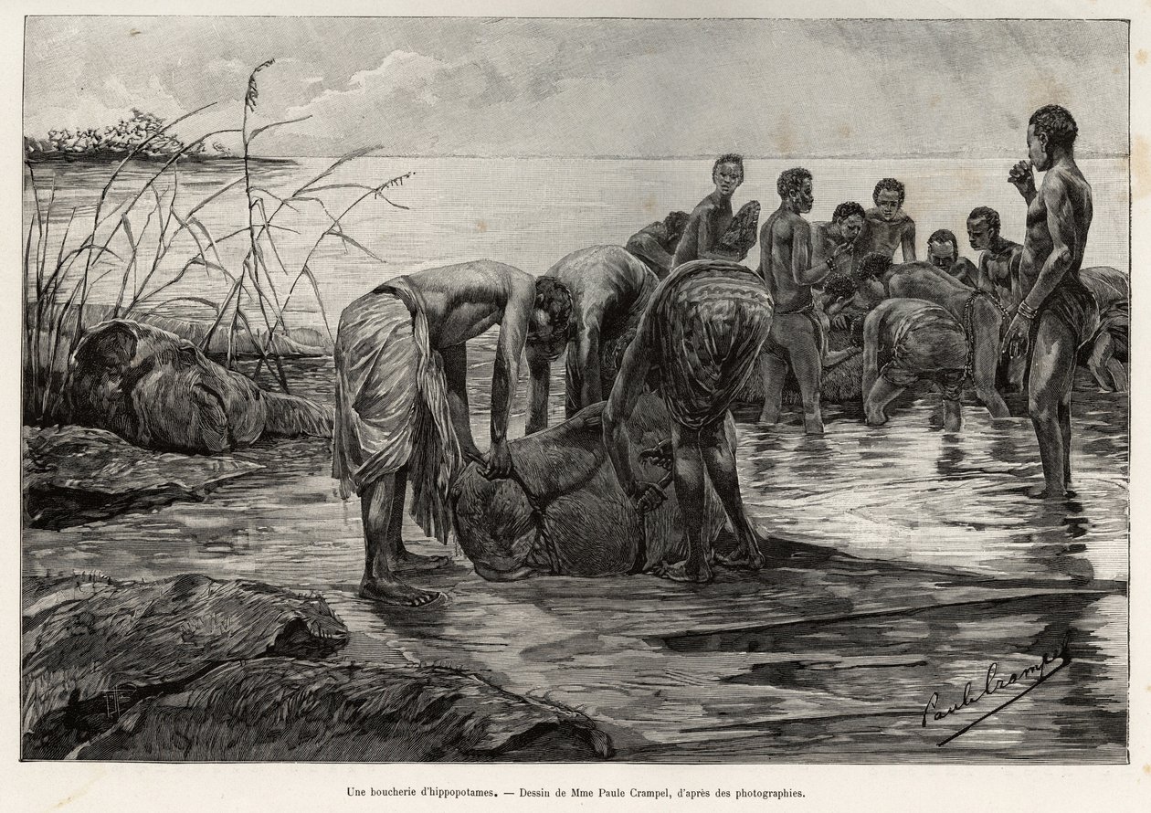 Um açougue hipopótamo nas margens de um rio da África Central. Gravado por Henri Thiriat para ilustrar a história "La mission Crampel", de Albert Nebout (1862-1939), em 1890, em Le tour du Monde 1892, dirigido por Edouard Charton (1807-1891), Hachette, Pa de Henri Thiriat