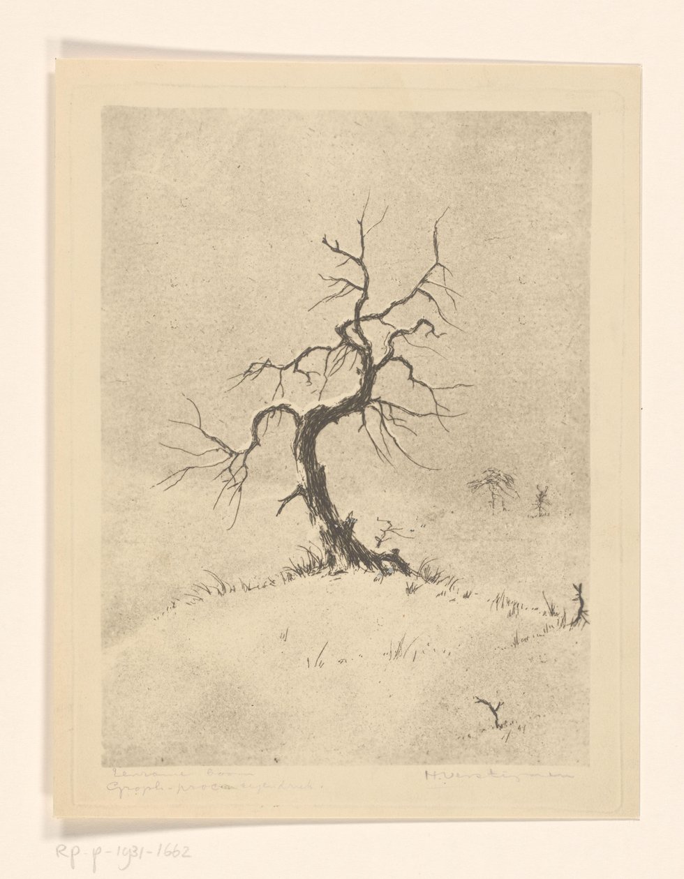 Eenzame boom (título original sobre o objecto) de Henri Verstijnen (signed by artist)