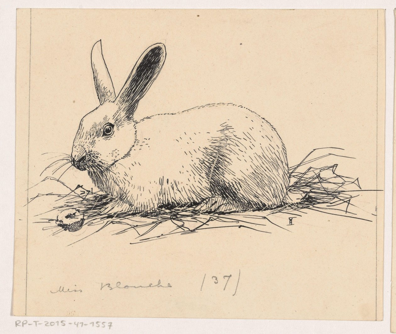 Coelho de Henri Verstijnen (signed by artist)