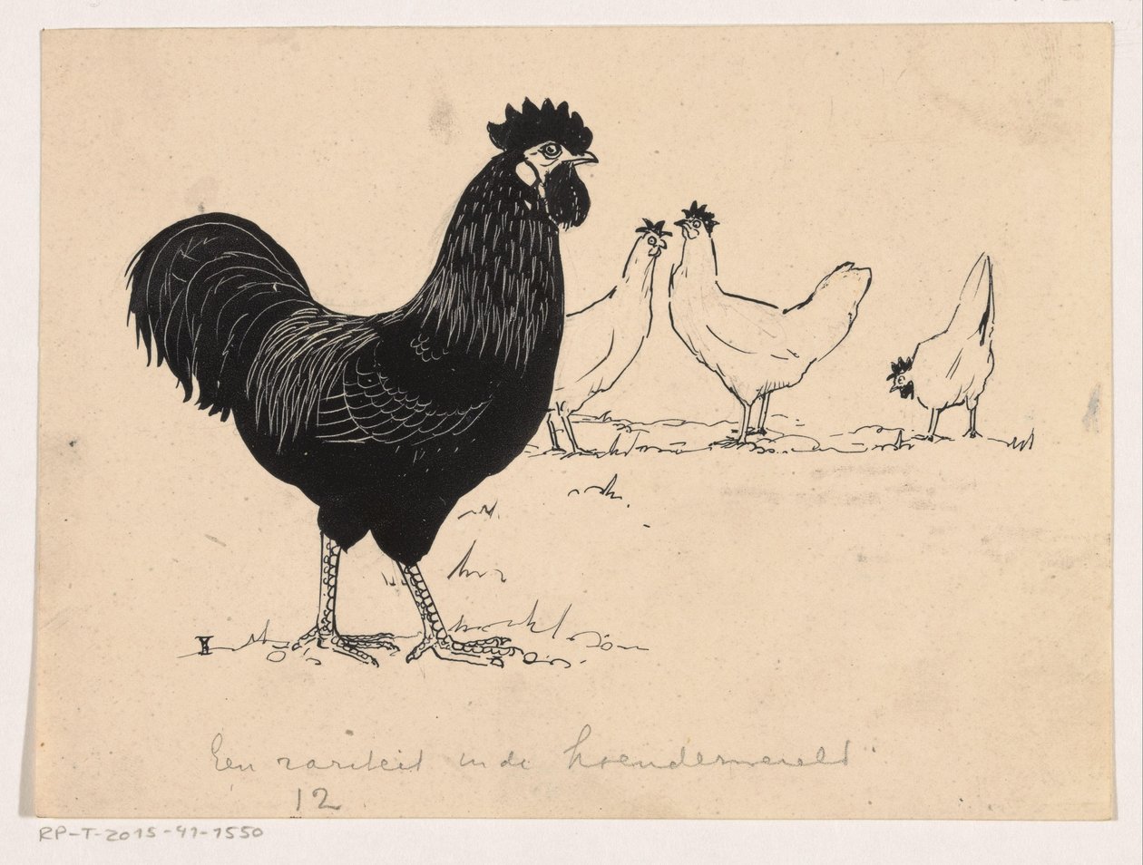 Galinhas de Henri Verstijnen