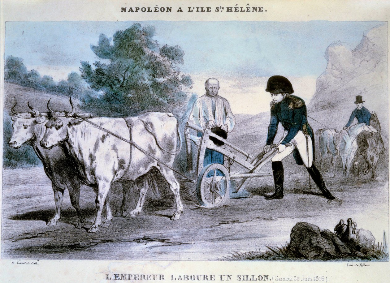 Napoleão I (1769-1821) a Santa Helena: o imperador lavra um sulco (30/06/1816) Litografia de Villain. 1816 Ile d
