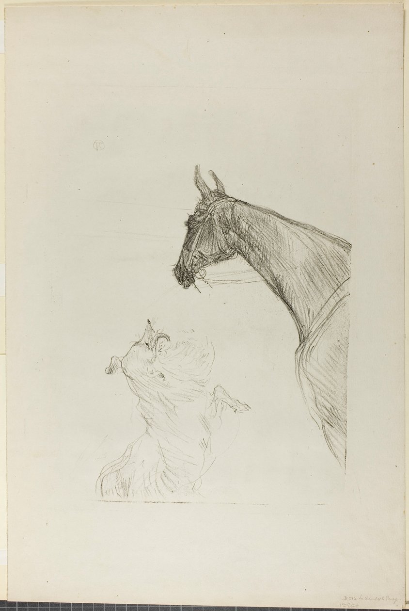 Cavalo e Collie de Henri de Toulouse-Lautrec