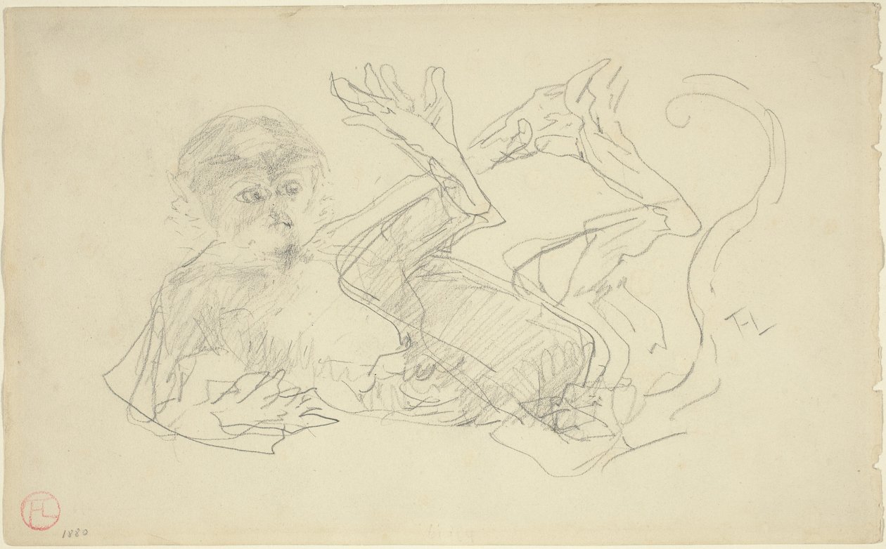 Um macaco brincando de costas, 1880. de Henri de Toulouse Lautrec