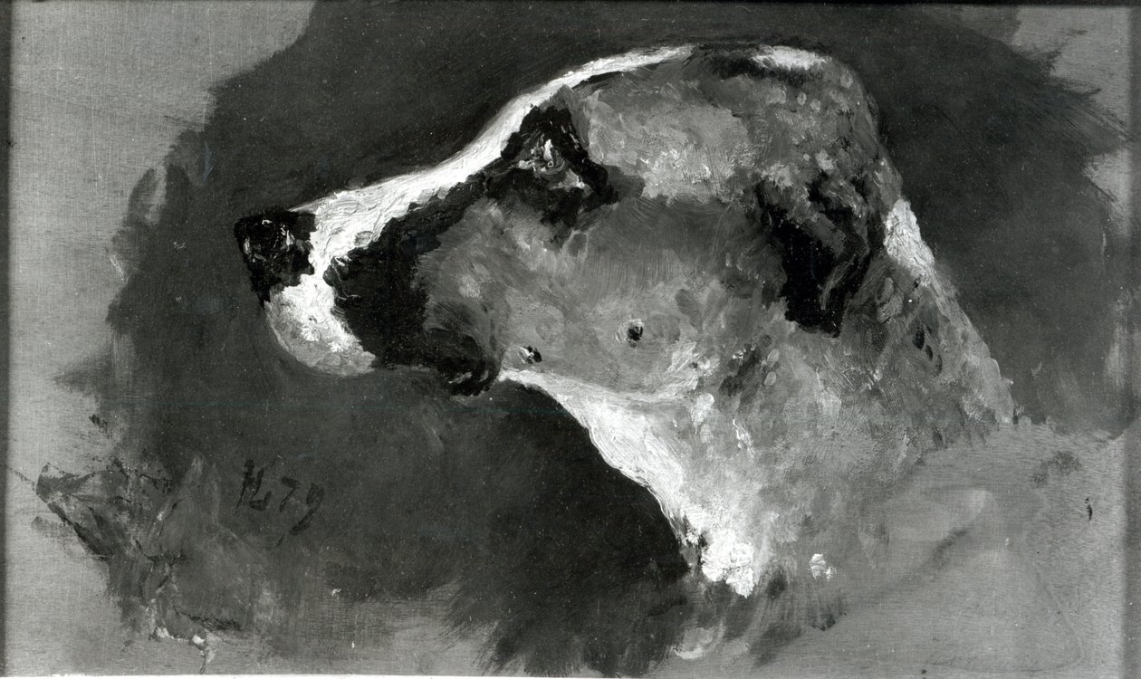 Cabeça de um cão com orelhas curtas, 1879 de Henri de Toulouse Lautrec