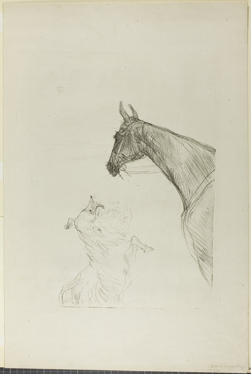 Cavalo e Collie de Henri de Toulouse Lautrec