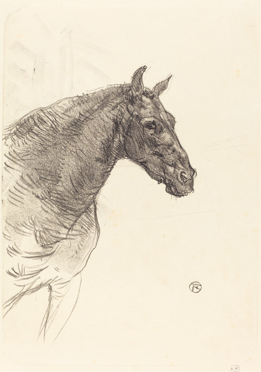 Cavalo Velho de Henri de Toulouse Lautrec