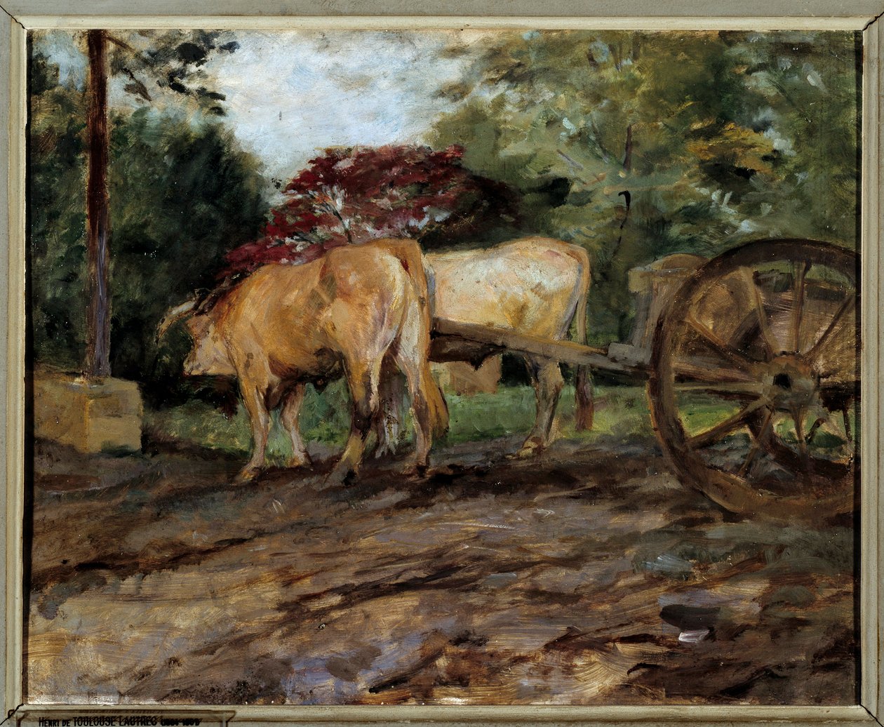 Os bois sob o jugo Pintura de Henri de Toulouse Lautrec (1864-1901) Bordeaux do século XIX, Musee des Beaux Arts de Henri de Toulouse Lautrec