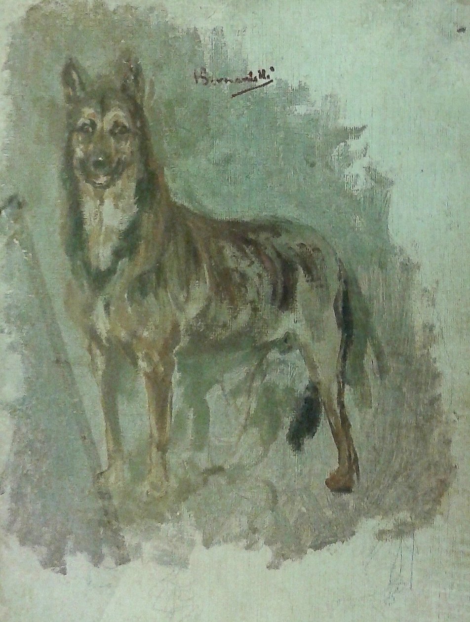 Estudo de um animal [cachorro] de Henrique Bernardelli