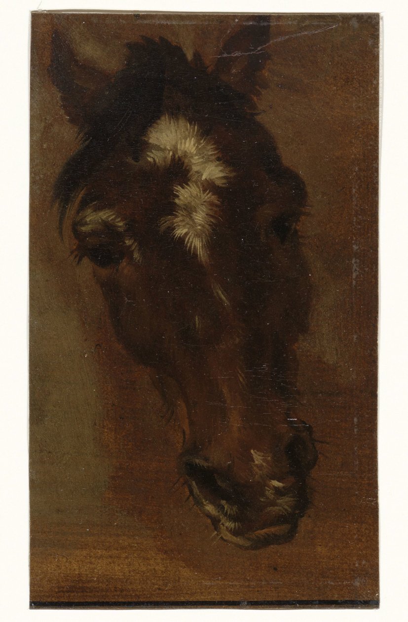 cabeça de cavalo de Henriëtte Ronner