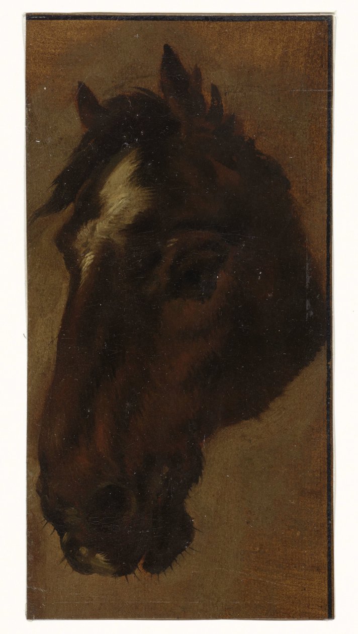 Cabeça de cavalo de Henriëtte Ronner