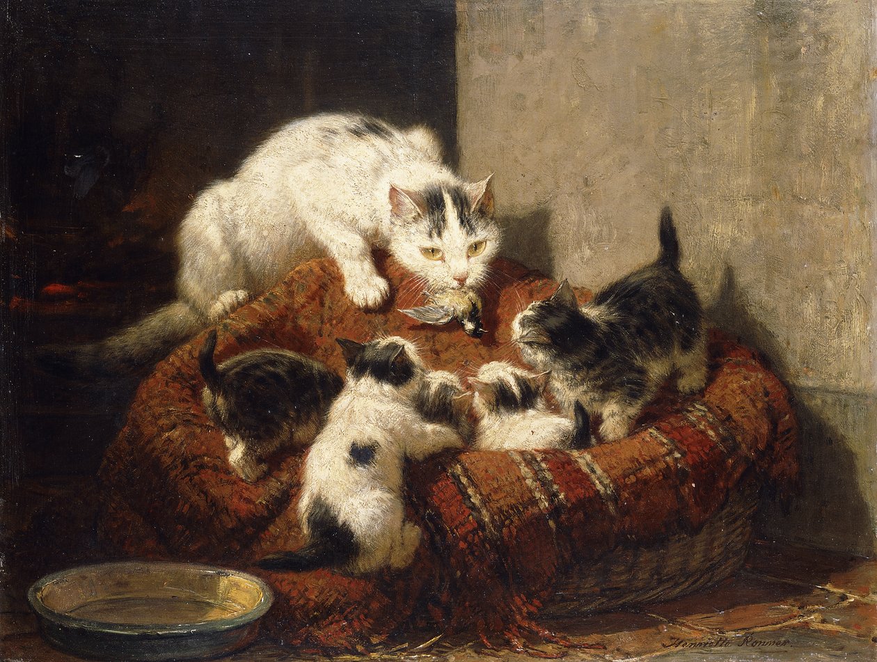 Um presente de penas, de Henriëtte Ronner Knip