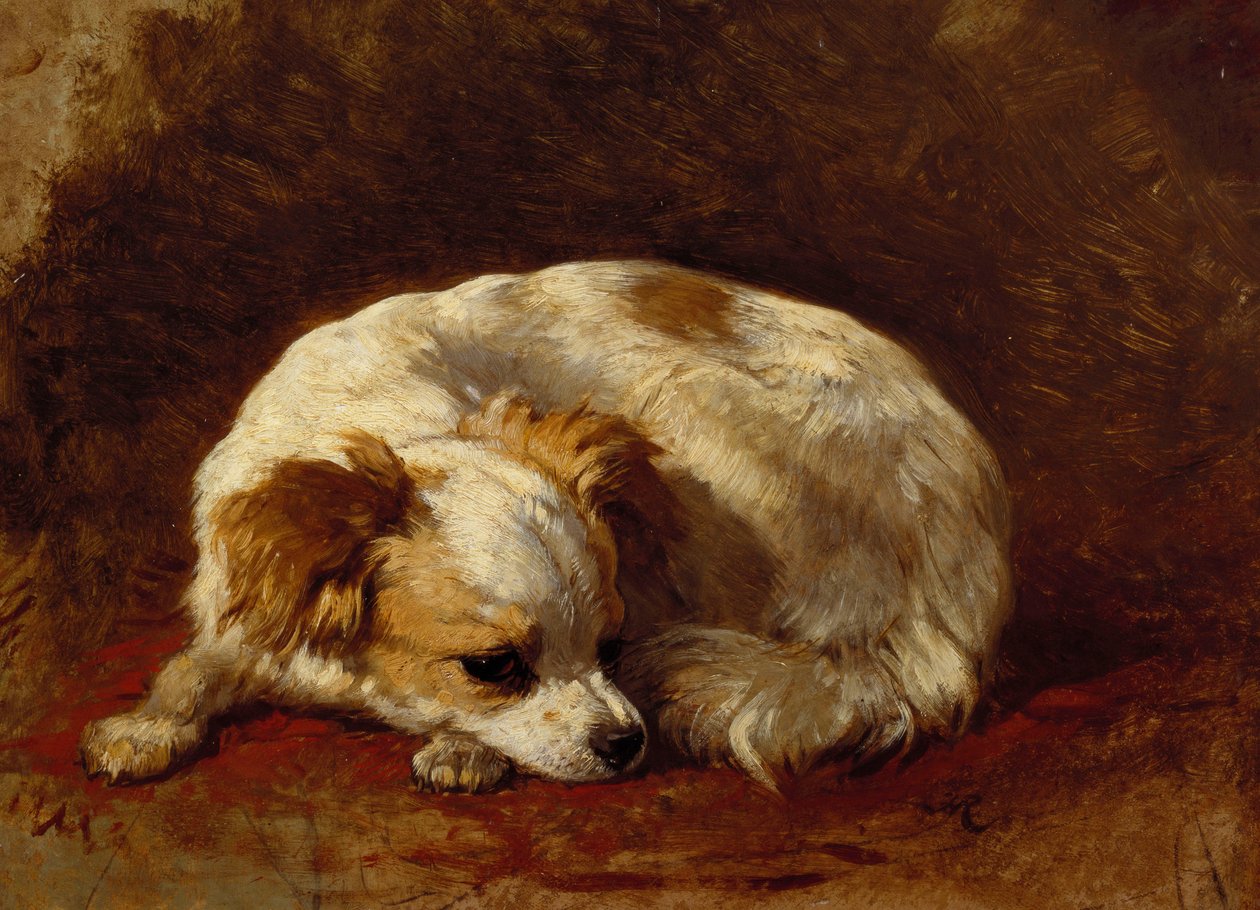 Uma borboleta de Henriëtte Ronner Knip