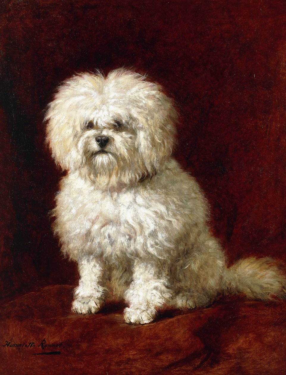 Um Poodle, de Henriëtte Ronner Knip