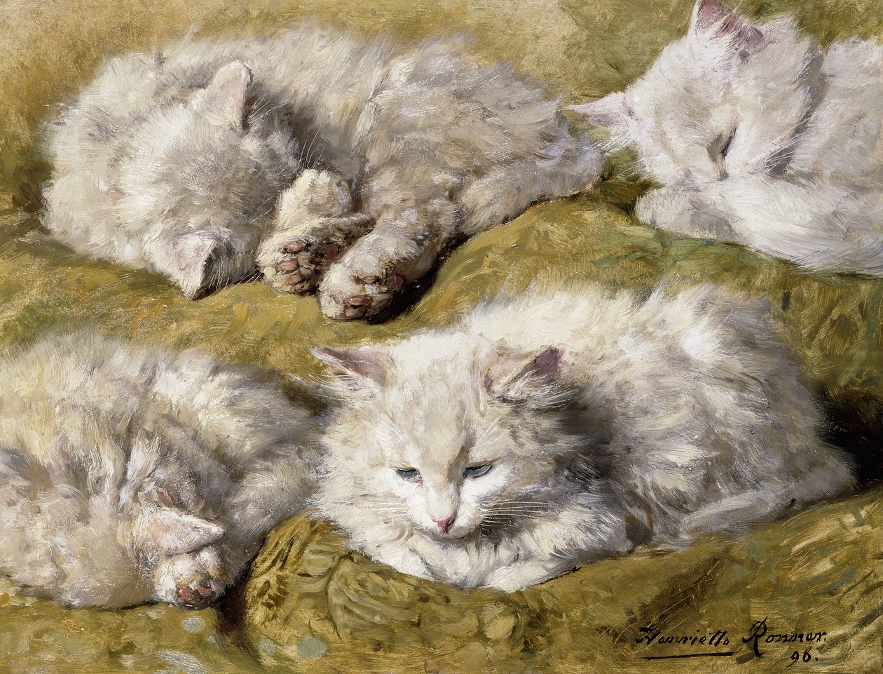 Estudos de um gato branco de cabelos compridos, 1896 de Henriëtte Ronner Knip