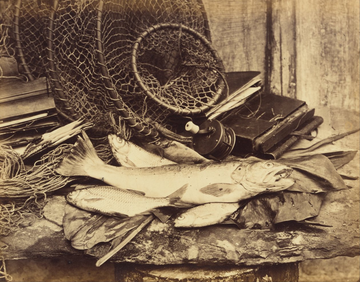 Truta Barata etc. de Henry Bailey