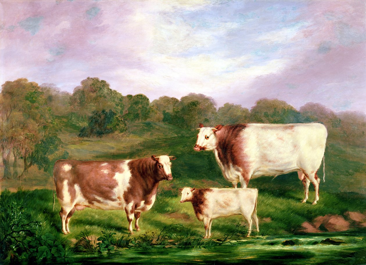 Pedigrees de Towneley, 1858-61 de Henry Barraud