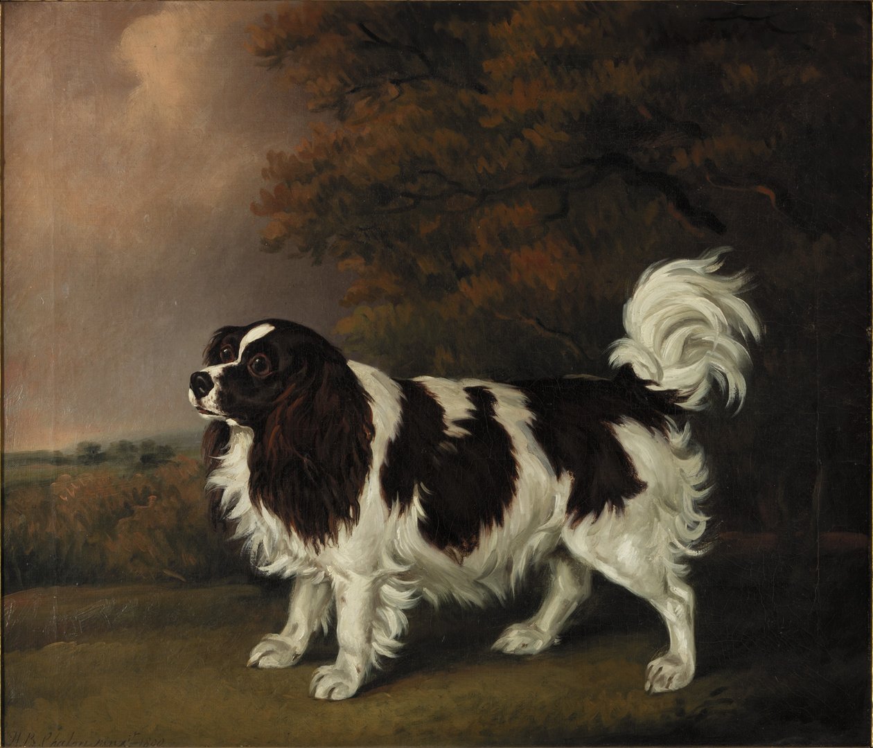 Estudo de um Spaniel King Charles de Henry Bernard Chalon
