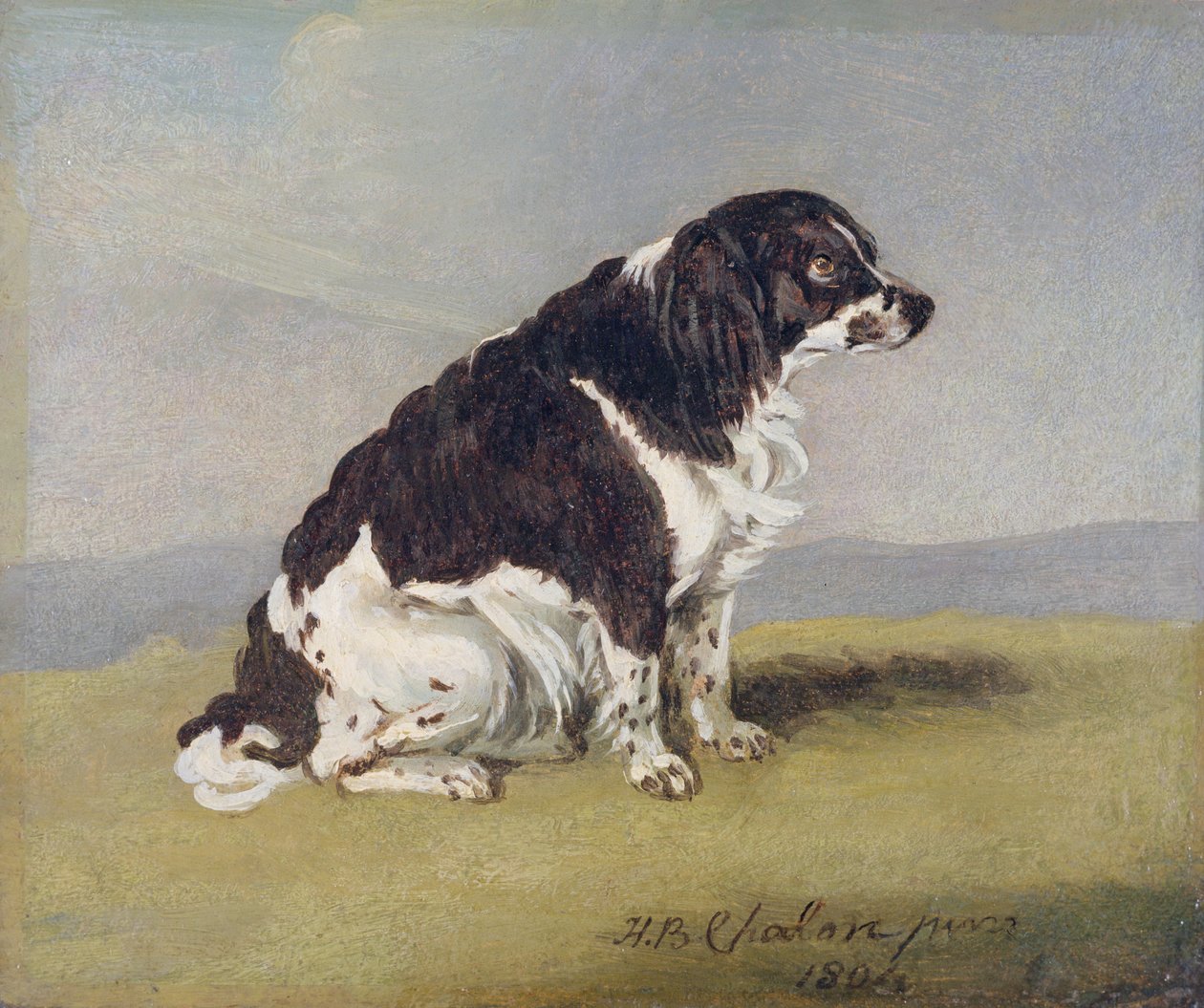 A duquesa de York&39;s Spaniel, 1804 (óleo em millboard) de Henry Bernard Chalon