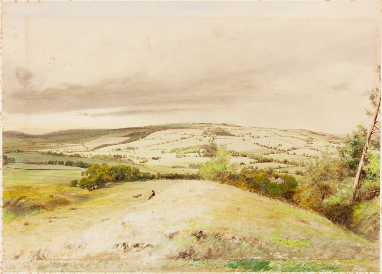 Banco de Brunton (bodycolour) de Henry Burdon Richardson