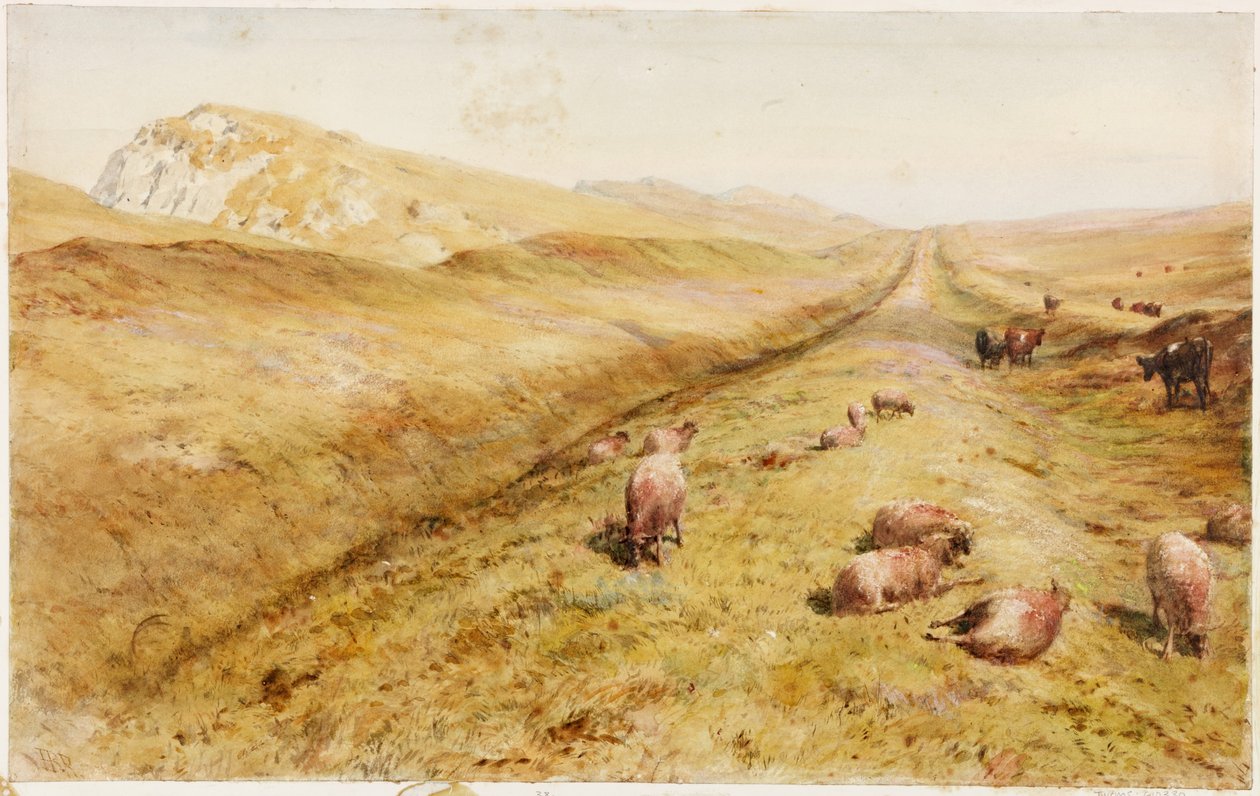 Cawfields (bodycolour) de Henry Burdon Richardson
