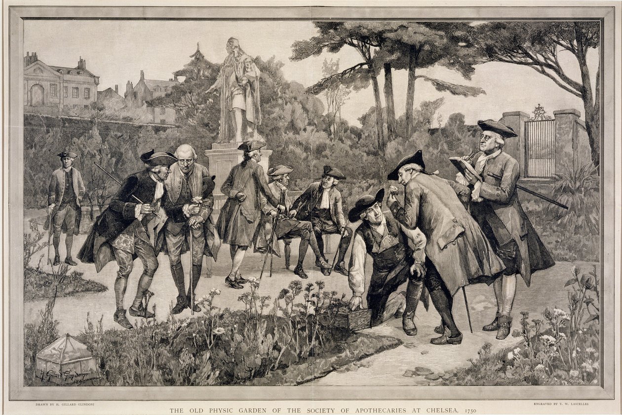 O Antigo Jardim Físico da Sociedade de Apothecaries em Chelsea, 1750, gravado por Thomas W. Lascelles (fl.c.1885), 1890 de Henry Gillard Glindoni