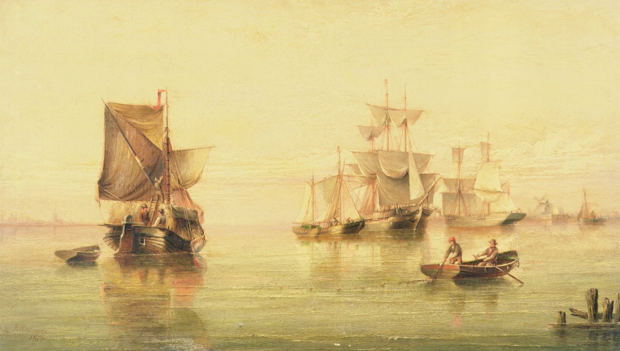Rosa holandês de Henry Redmore