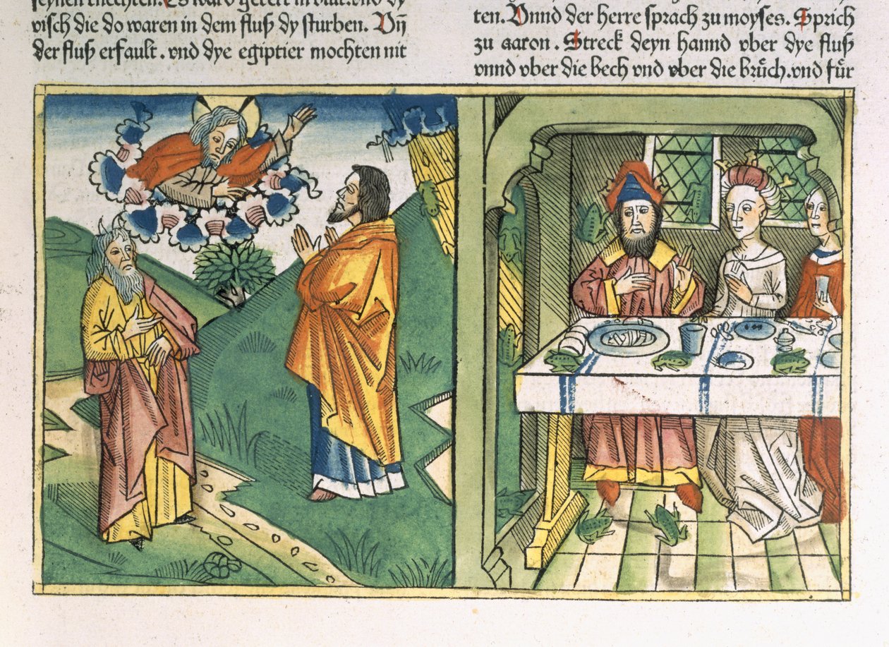 Êxodo 8 1-15 As Sete Pragas do Egito: Moisés e a praga das rãs, da &39;Bíblia de Nuremberg (Biblia Sacra Germanaica)&39; (xilogravura colorida) de Henry Room