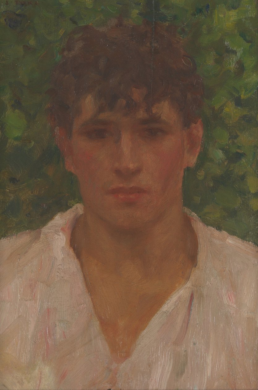 Retrato, de, um, homem jovem, com, colar aberto de Henry Scott Tuke