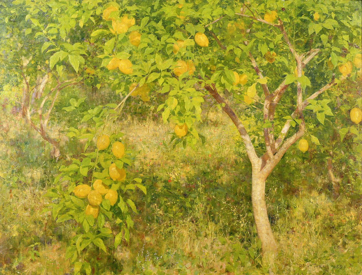 A árvore de limão, 1893 de Henry Scott Tuke