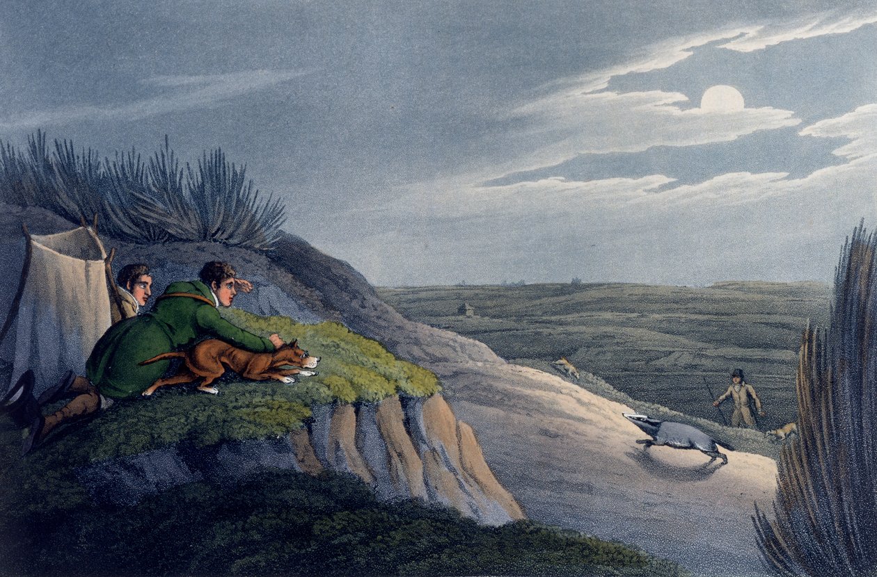 Captura de texugo, 1820 de Henry Thomas Alken