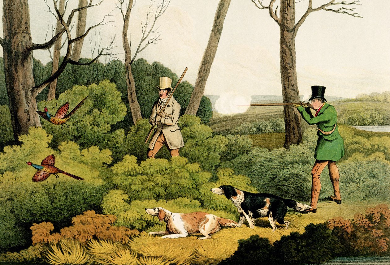 &39;Pheasant Shooting&39;, pub. por Thomas McLean, 1820 (impressão) de Henry Thomas Alken