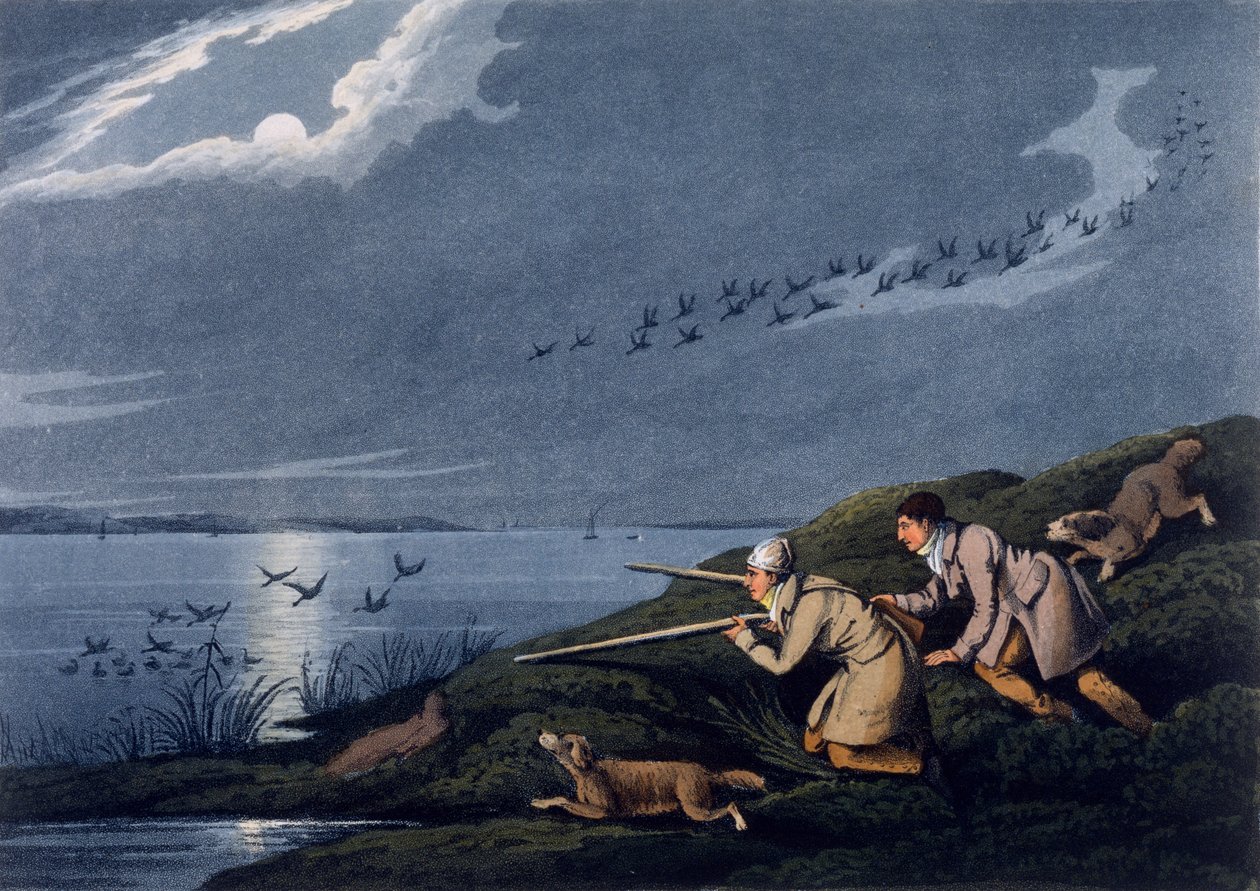 Tiro de Aves Selvagens, 1820 de Henry Thomas Alken