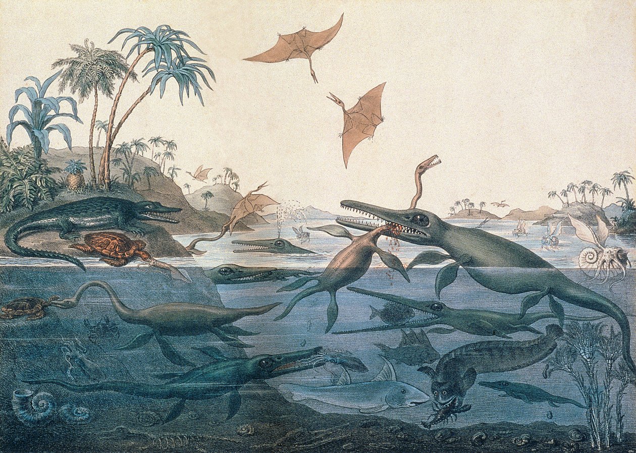 Duria antiquior (antiga Dorset), uma reconstrução imaginativa da vida dos mares jurássicos, gravada por George Scharf (1820-95) impressa por Charles Joseph Hullmandel (1789-1850) de Henry Thomas De La Beche