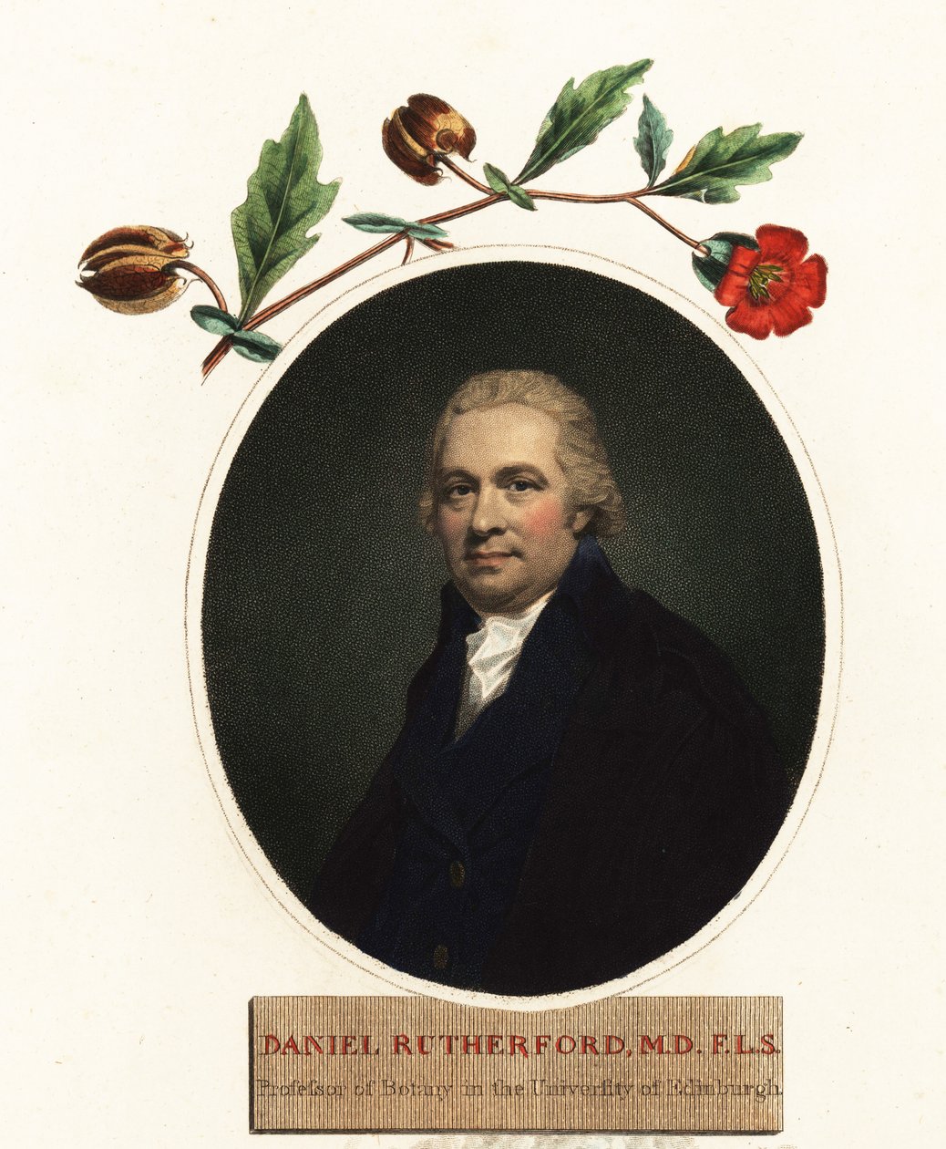 Retrato de Daniel Rutherford, botânico.1805 (gravura) de Henry (after) Raeburn