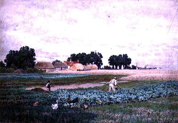 Campo de repolho e fazenda de Henry Bailey
