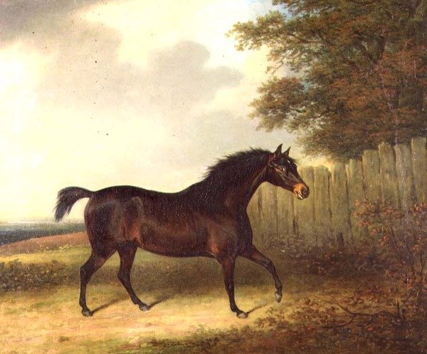 Um garanhão de uma baía escura numa paisagem de Henry Bernard Chalon