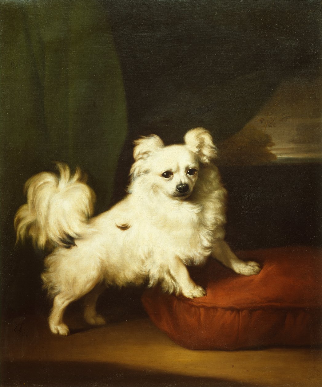 Seu favorito, um Papillon branco em pé sobre uma almofada de Henry Bernard Chalon
