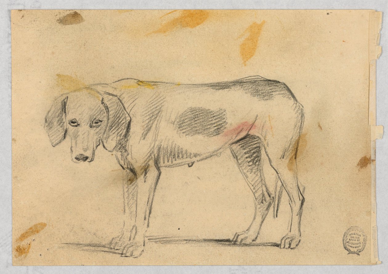 Estudos de dois galgos de Henry Bernard Chalon