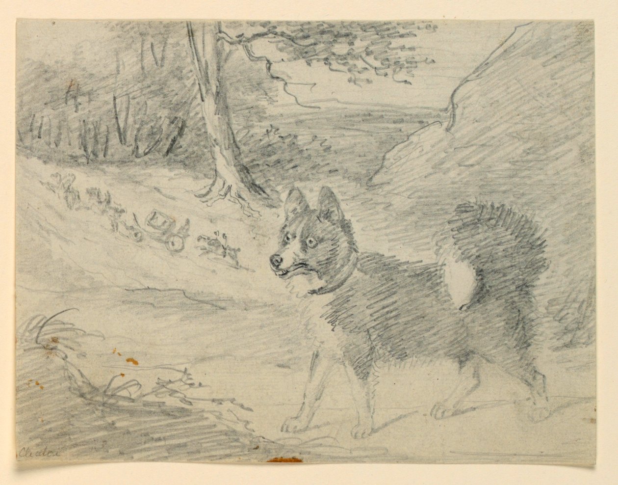 Estudo de um Elk Hound de Henry Bernard Chalon