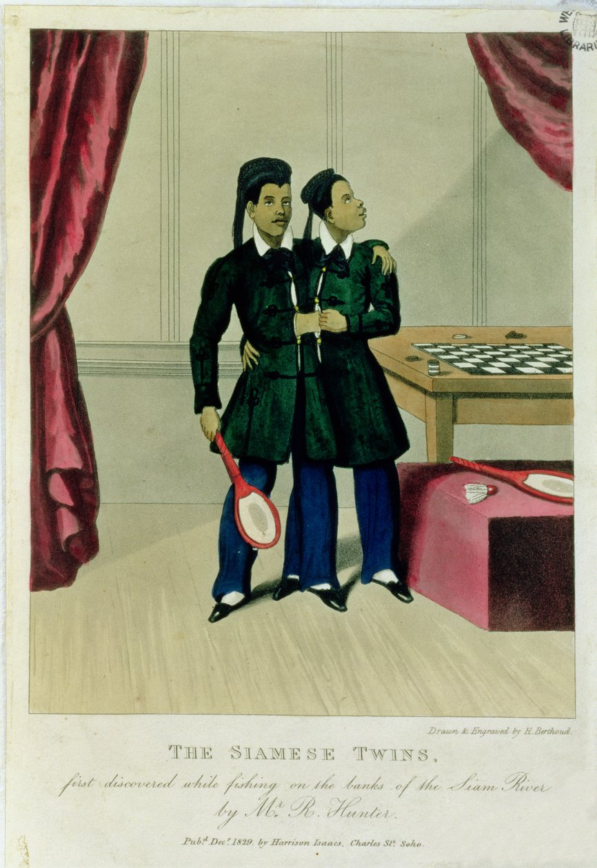 Os gêmeos siameses, descoberto pela primeira vez durante a pesca nas margens do rio Siam pelo Sr. R. Hunter, 1829 de Henry Berthoud