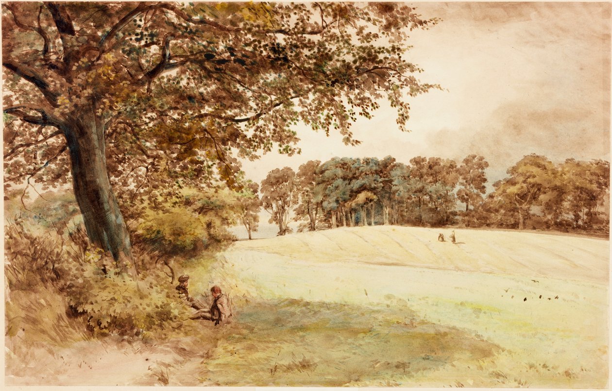 Benwell Hill Top (bodycolour) de Henry Burdon Richardson