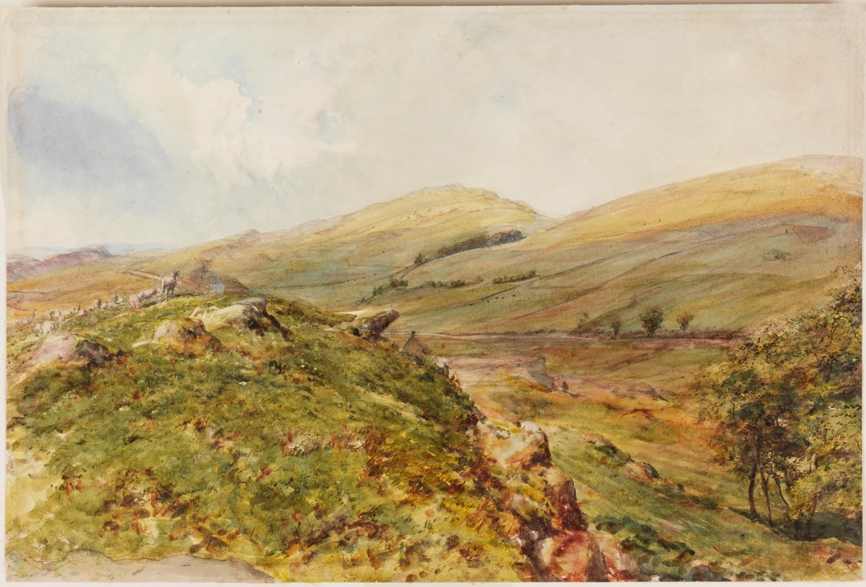 Monte Cockmount (bodycolour) de Henry Burdon Richardson