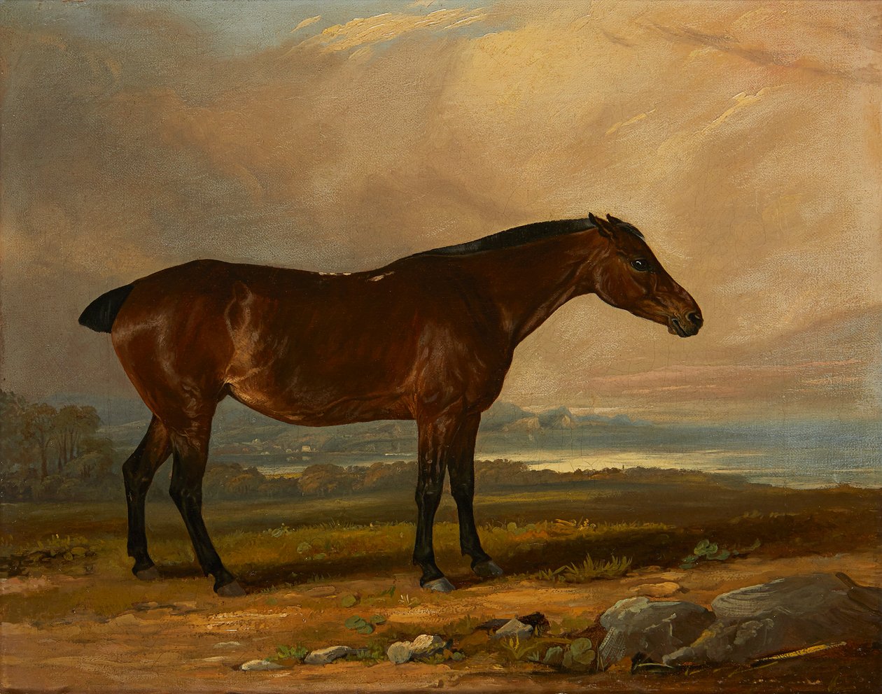 Estudo de um Bay Hunter em uma paisagem (óleo sobre tela) de Henry Calvert